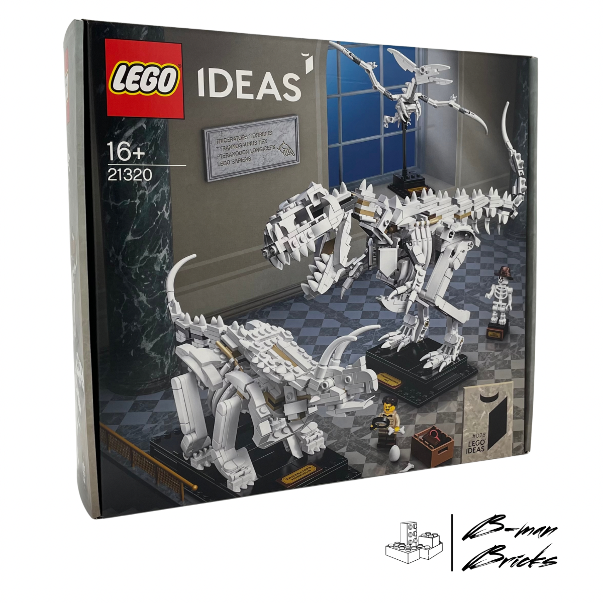 21320 | LEGO® Ideas Dinosaurier-Fossilien